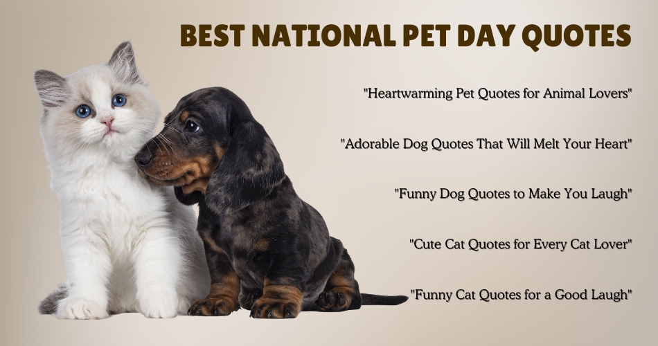 Cute kitten and dachshund puppy sitting together with a list of the best National Pet Day quotes for animal lovers.