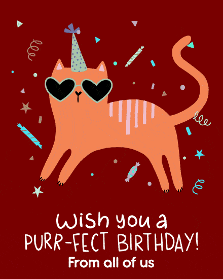 Animated Cat virtual Funny Birthday eCard